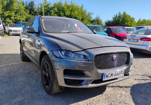 jaguar