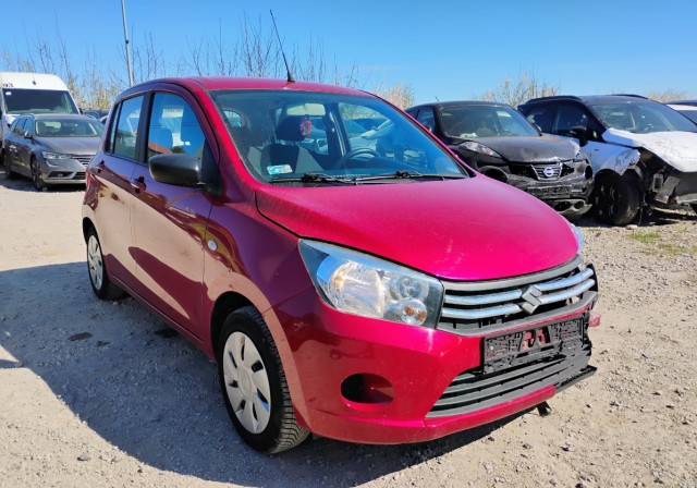 suzuki