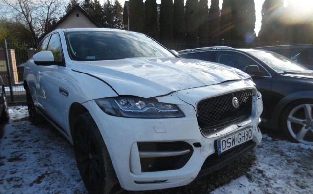 jaguar