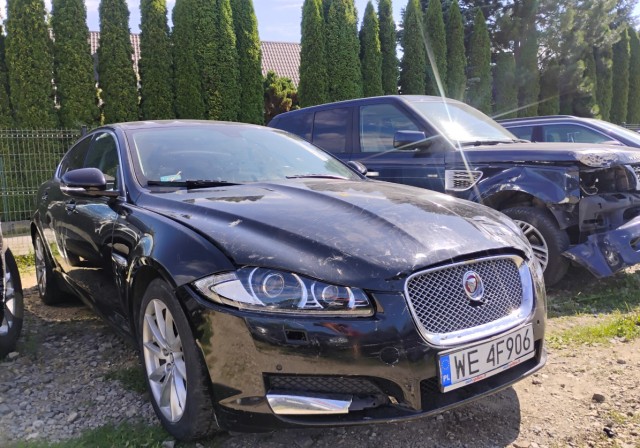 jaguar