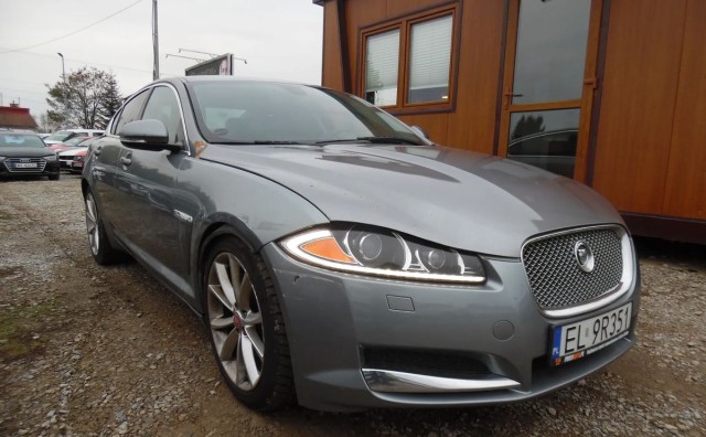 jaguar