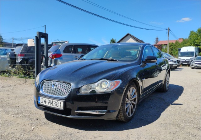 jaguar