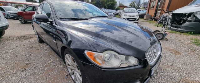 jaguar