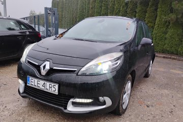 11/2013r, 1.5 DCI. Lekko uszkodzony lewy tył. Jeździ.